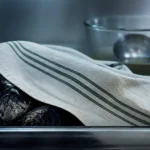 moules conservation 48h au frais : test et sécurité